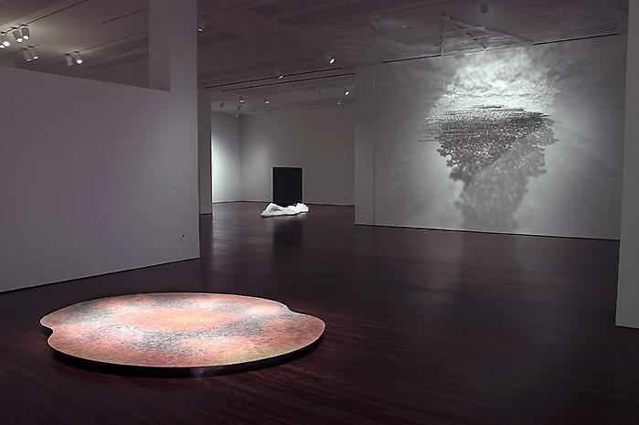 Teresita Fernández Installation at the Blanton Museum of Art, 2009