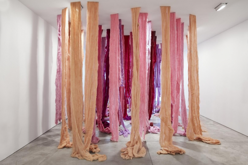 CECILIA VICUÑA Quipu Viscera, 2017