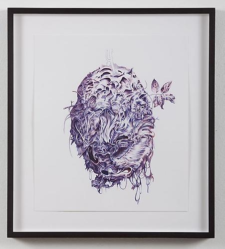 PAUL MCDEVITT Batesian Mimic, 2010