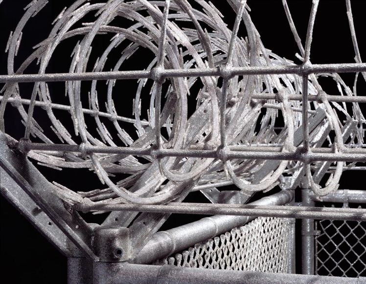 LIZA LOU, Security Fence, 2005 (detail)