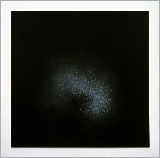 Untitled, 2005 mixed media on paper