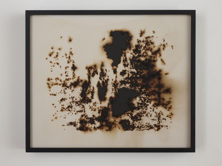 TERESITA FERNÁNDEZ Burned Landscape (America) 1 (detail), 2017