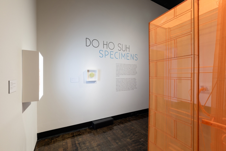 DO HO SUH, Installation view, Frist Art Museum, Do Ho Suh: Specimens, Oct. 12, 2018 - Jan. 6, 2019