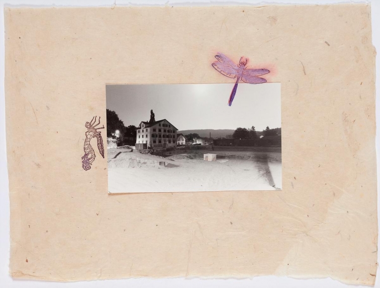 æµ·è·å¸èµ« Der Schlüpfakt der Parkett Libelle, 1981