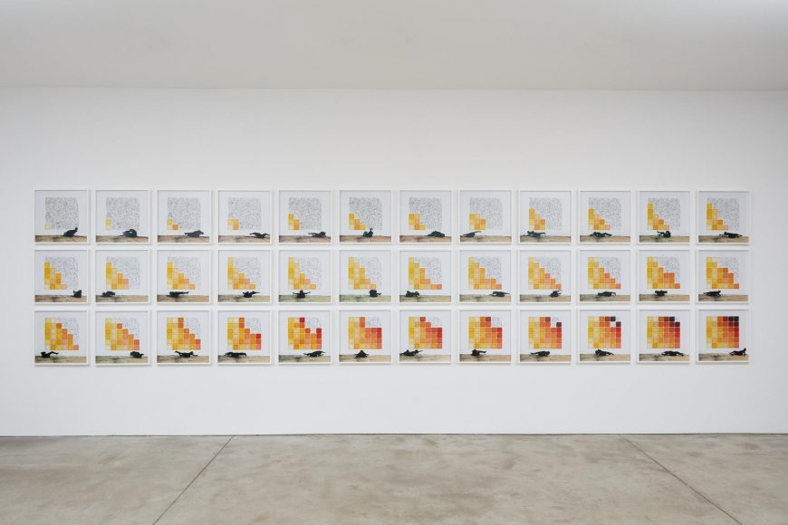 Robin Rhode, The Geometry of Colour installation view 1