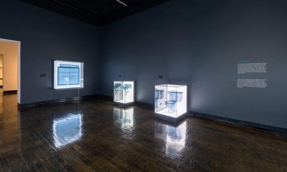DO HO SUH, Installation view, Frist Art Museum, Do Ho Suh: Specimens, Oct. 12, 2018 - Jan. 6, 2019