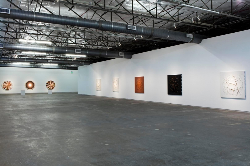 Photo: Kevin Todora. Courtesy the artist, Dallas Contemporary, Lehmann Maupin, New York and Hong Kong, and Galeria Fortes Vilaça