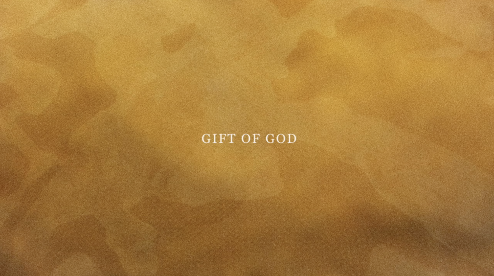 NARI WARD, Gift of God, 2020