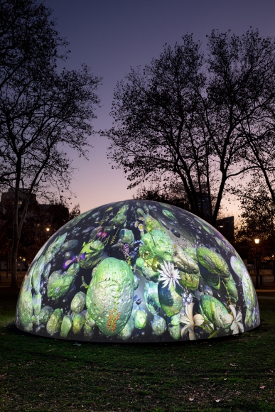 JENNIFER STEINKAMP Winter Fountains, 2017
