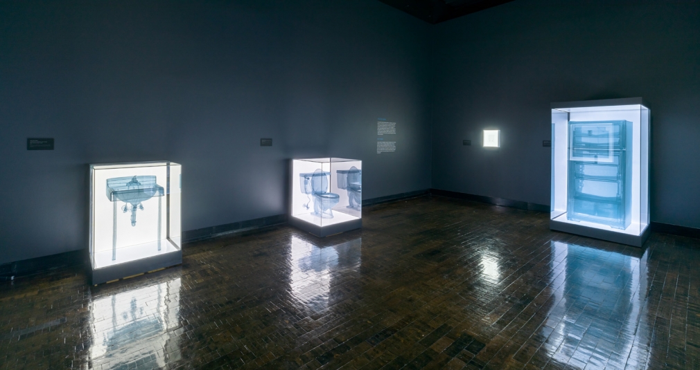 DO HO SUH, Installation view, Frist Art Museum, Do Ho Suh: Specimens, Oct. 12, 2018 - Jan. 6, 2019