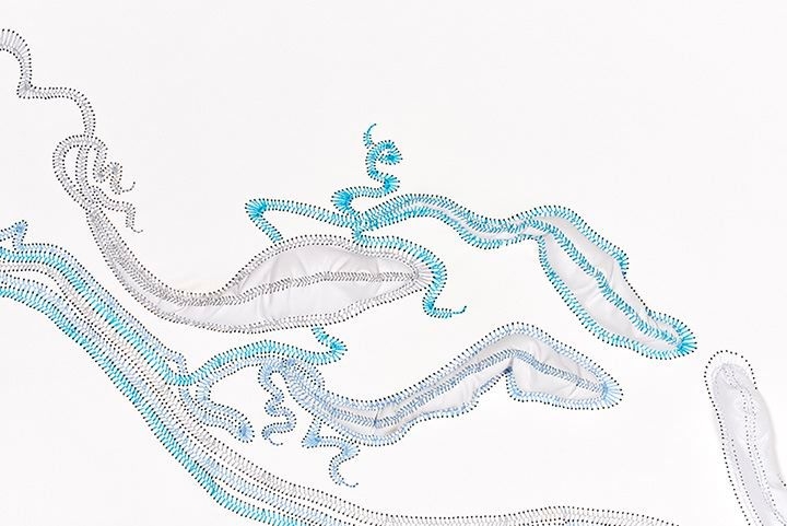 NICHOLAS HLOBO Idabi (detail), 2016