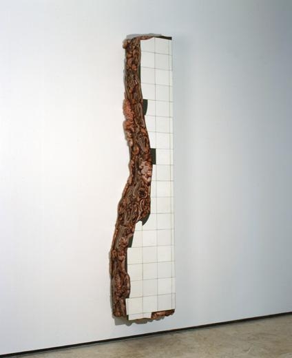 Ruina de Charque - Vigario Geral (Vigario Geral Jerked-Beef Ruin), 2002