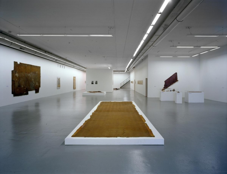 æµ·è·å¸èµ« è£ç½®, Heidi Bucher: Mother of Pearl
