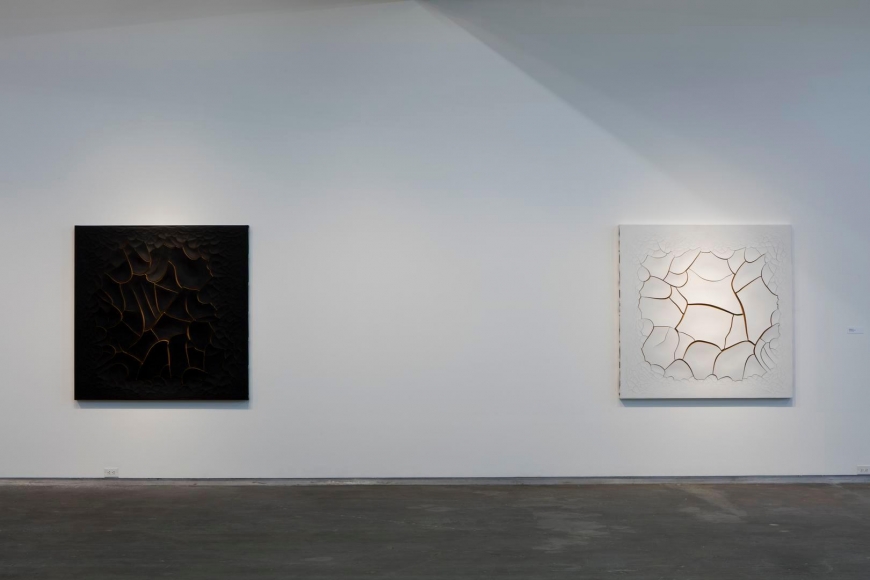 Photo: Kevin Todora. Courtesy the artist, Dallas Contemporary, Lehmann Maupin, New York and Hong Kong, and Galeria Fortes Vilaça