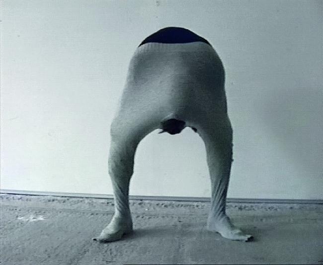 ERWIN WURM