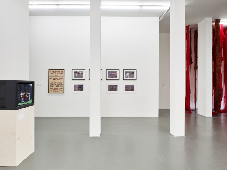 CECILIA VICUÑA, A retrospective exhibition