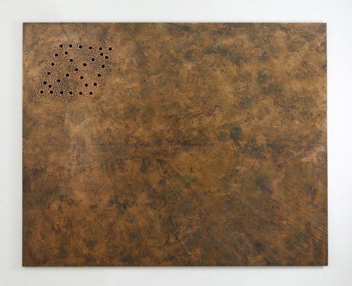 NARI WARD, Breathing Panel: Oriented Left, 2015