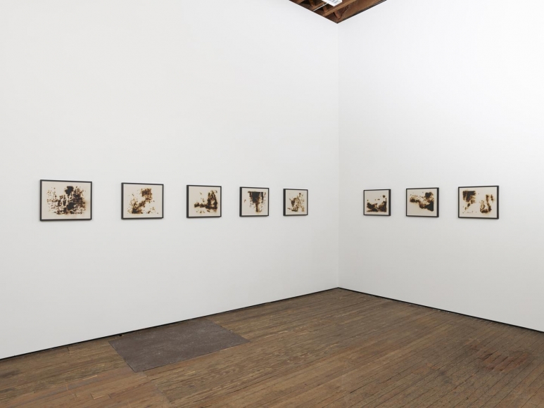 TERESITA FERNÁNDEZ Burned Landscape (America) 1, 2017