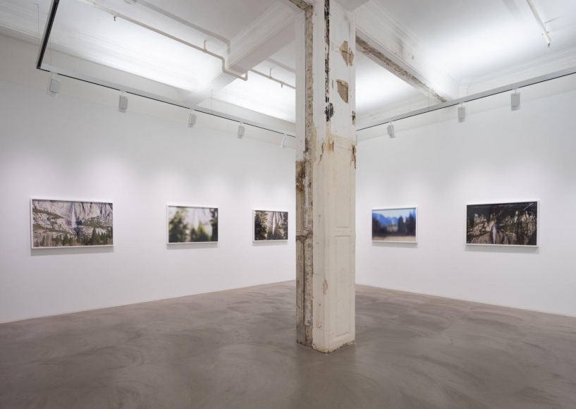 CATHERINE OPIE So long as they are wild
installation view 1