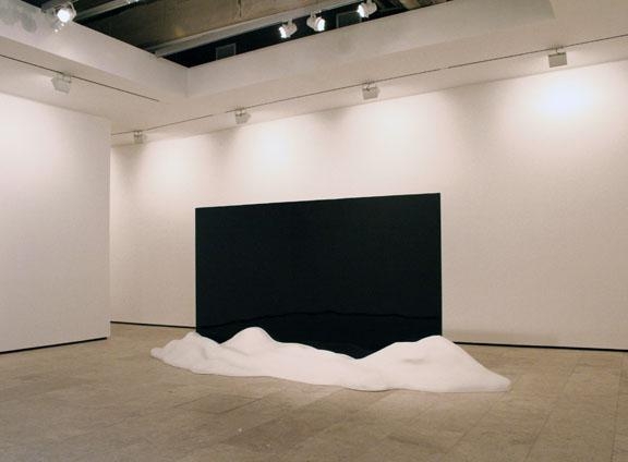 TERESITA FERNÁNDEZ Ink Mirror (Landscape), 2007