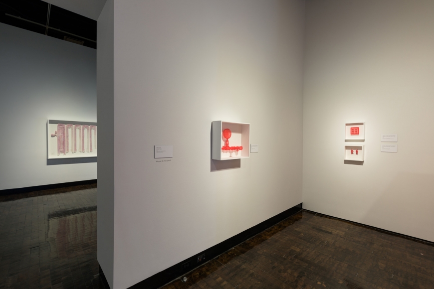DO HO SUH, Installation view, Frist Art Museum, Do Ho Suh: Specimens, Oct. 12, 2018 - Jan. 6, 2019