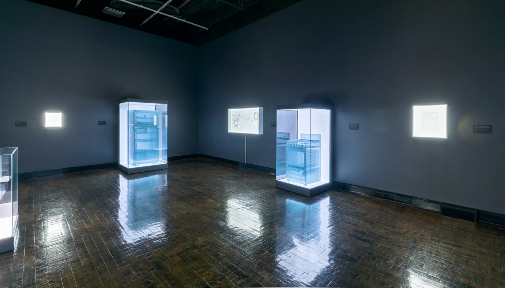 DO HO SUH, Installation view, Frist Art Museum, Do Ho Suh: Specimens, Oct. 12, 2018 - Jan. 6, 2019