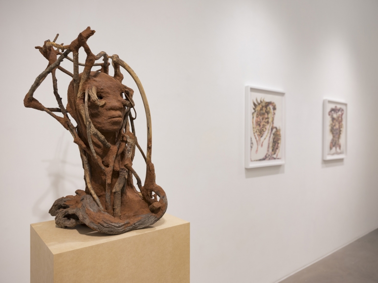 WANGECHI MUTU Installation view 