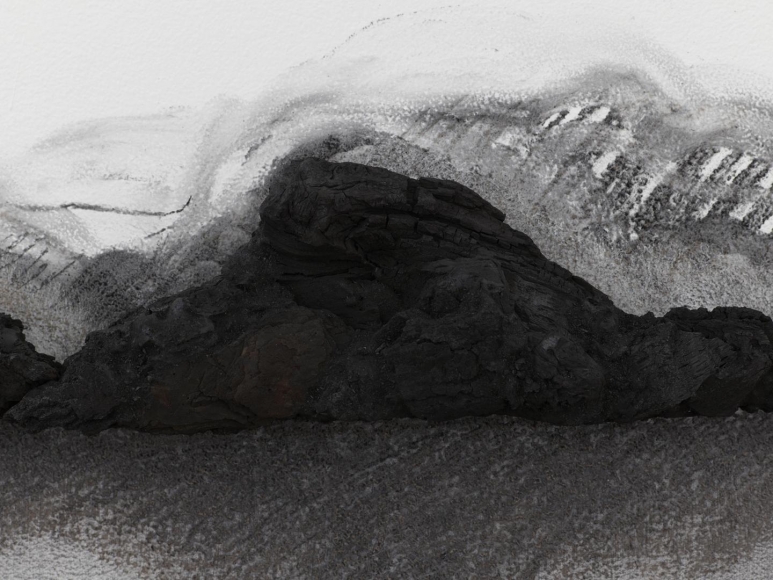 TERESITA FERNÁNDEZ Charred Landscape (America) (detail), 2017
