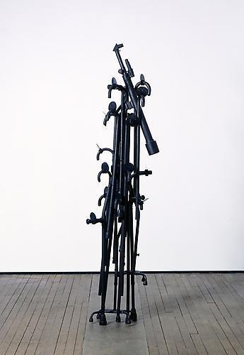 NARI WARD Ambulascope, 2010