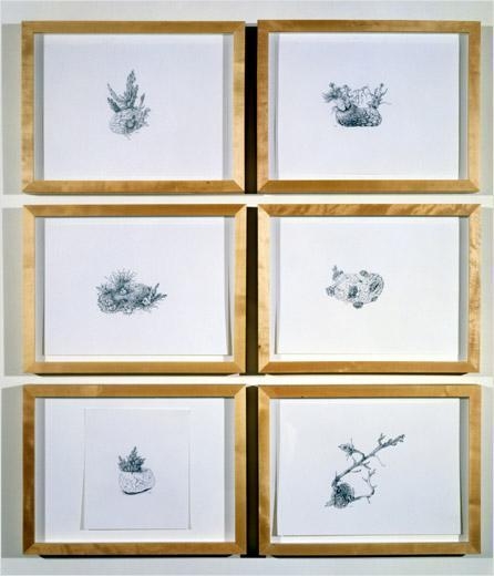 Six potatoes drawn- (belief in an immaculate being) , 2001