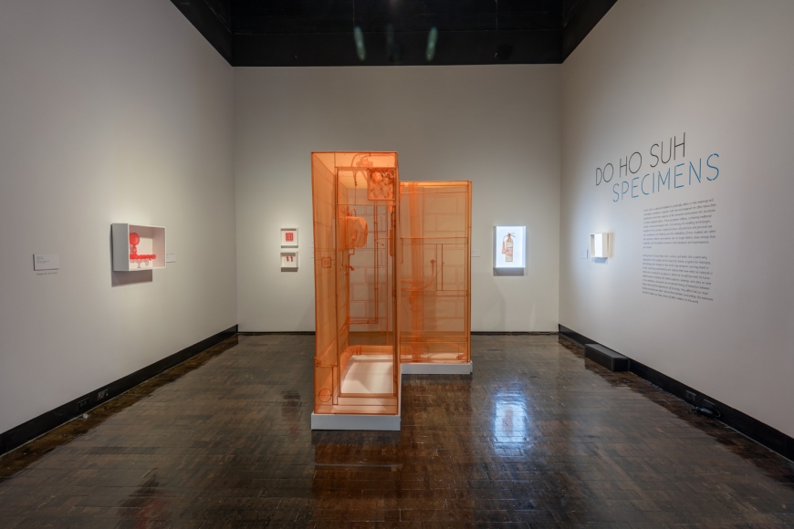 DO HO SUH, Installation view, Frist Art Museum, Do Ho Suh: Specimens, Oct. 12, 2018 - Jan. 6, 2019