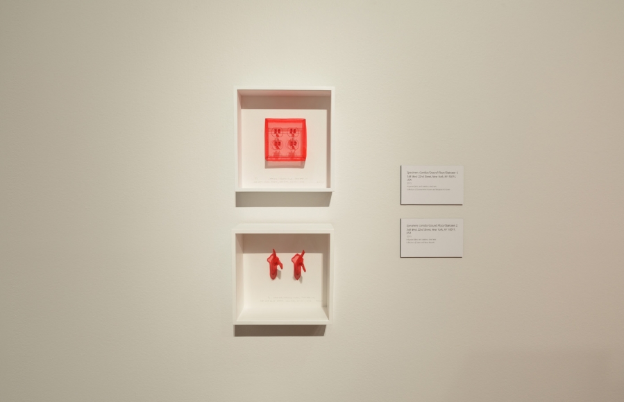 DO HO SUH, Installation view, Frist Art Museum, Do Ho Suh: Specimens, Oct. 12, 2018 - Jan. 6, 2019
