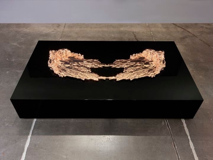 TERESITA FERNÁNDEZ Rorschach, 2013-2014