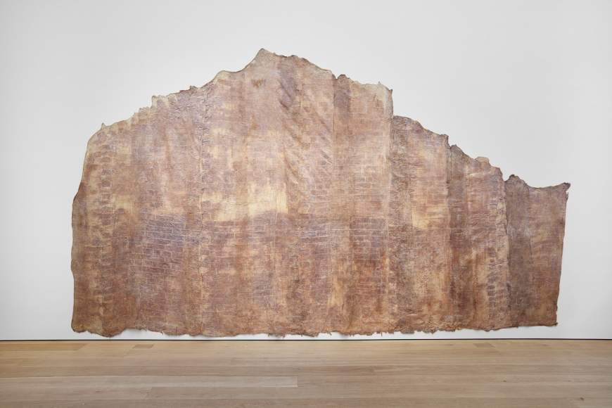 HEIDI BUCHER, Elfenbornhaut, Fridericianum, Kassel, 1982