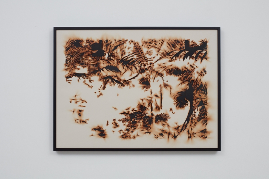 TERESITA FERNÁNDEZ, Puerto Rico (Burned) 6, 2018