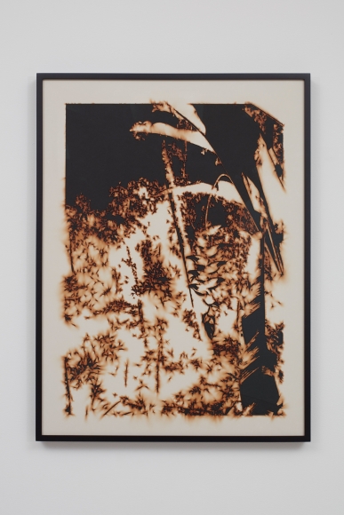 TERESITA FERNÁNDEZ, Puerto Rico (Burned) 3, 2018