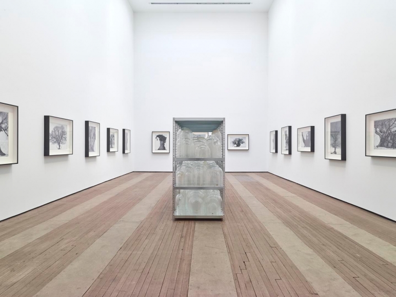 Patrick Van Caeckenbergh Installation view 3