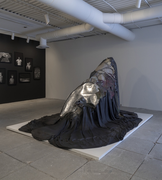 LEE BUL, Scale of Tongue, 2017–2018