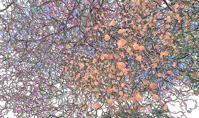 JENNIFER STEINKAMP Orbit 9, 2010