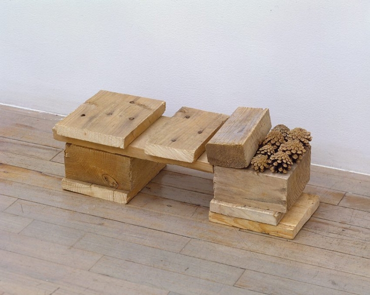 Helen Mirra, 