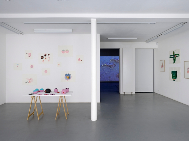 Anne-Marie Schneider – installation view 2