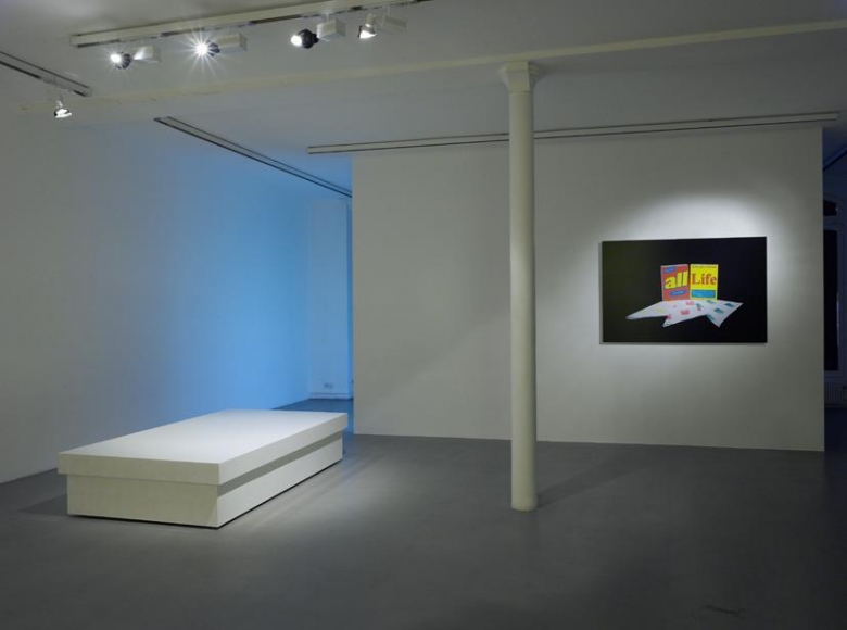 Guillaume Paris: Miracle, Mystery and Authority – installation view 2