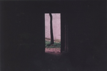 Boris Savelev Black Tree Chernowitz