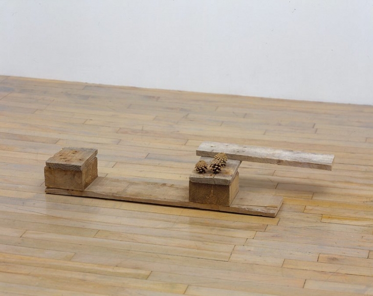Helen Mirra, 