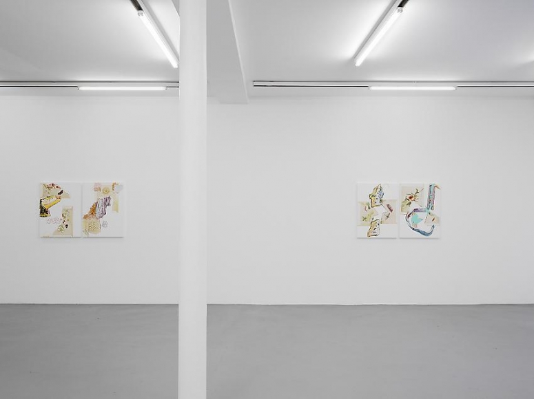 Pia Fries: Merian's Surinam – installation view 4