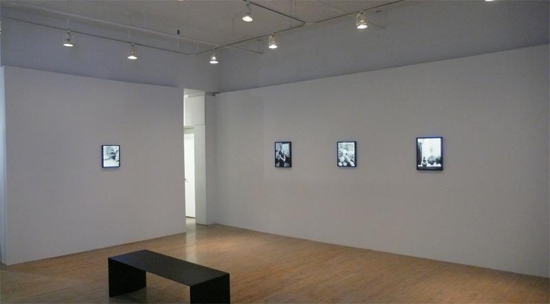 Fiona Tan, Provenance