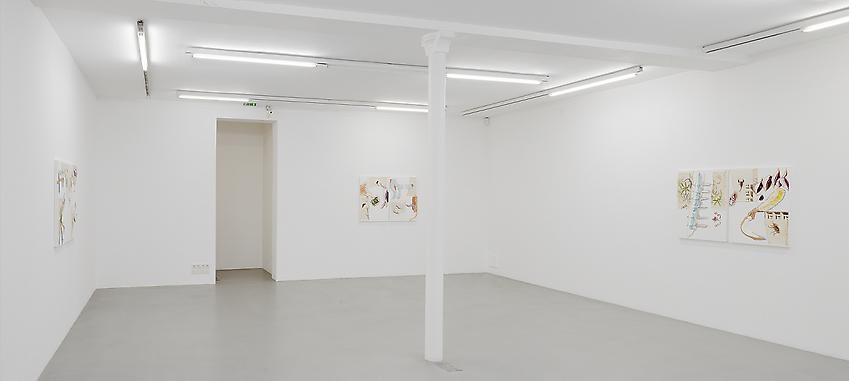 Pia Fries: Merian's Surinam – installation view 7