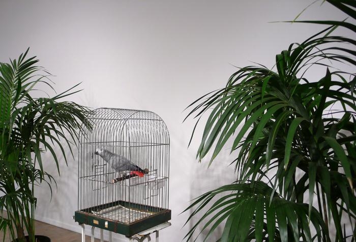 Marcel Broodthaers (1924 - 1976)