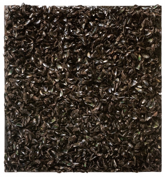 Macel Broodthaers (1924 - 1976),