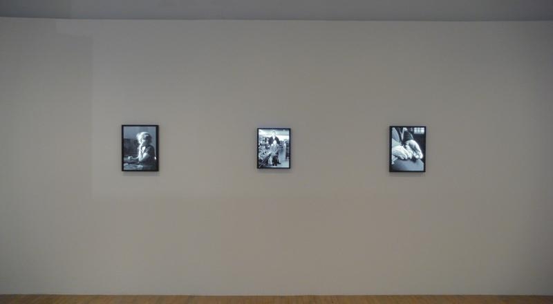 Fiona Tan, Provenance